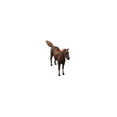 Horse_Arab HP